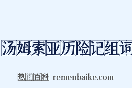汤姆索亚历险记组词是什么意思的图片